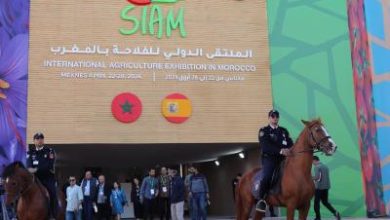 Photo of المعرض الدولي للفلاحة بالمغرب ( 2024 ) : أبرز أرقام الدورة الـ 16