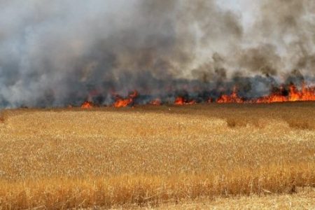 السيطرة على حريق بإحدى الضيعات الفلاحية ضواحي سلا