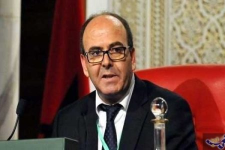 بنشماش يؤكد ضرورة تملك كل الفاعلين لمشروع الصعود المجتمعي المنصف المقترح من قبل دراسة المجلس الاقتصادي والاجتماعي والبيئي