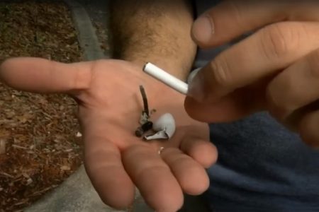أول واقعة انفجار لسماعة أبل اللاسلكية