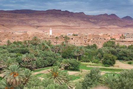 الدورة الخامسة للمنتدى الدولي للواحات والتنمية المحلية‎