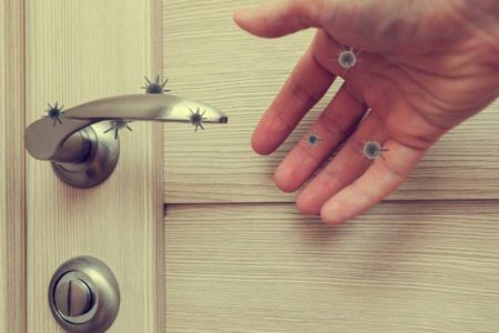 جواب جديد على سؤال قديم…هل فيروس كورونا ينتقل للإنسان عن طريق ملامسة الأسطح الملوثة
