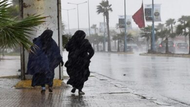 Photo of نشرة خاصة.. زخات مطرية رعدية قوية وهبات رياح قوية يومي الأربعاء والخميس المقبلين‎