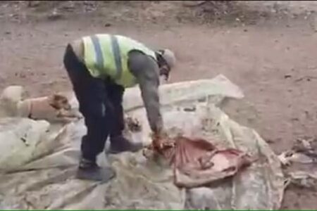العثور على حمار مذبوح يثير خوف هذه الساكنة