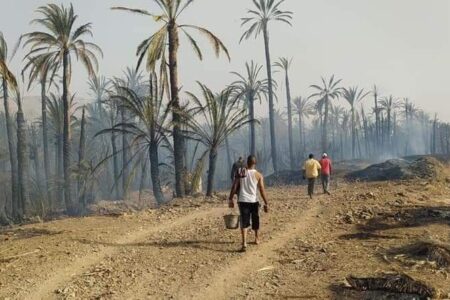 اندلاع حريقين بواحات النخيل بإقليم زاكورة‎‎