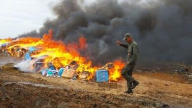 Photo of إتلاف كمية مهمة من المخدرات والمؤثرات العقلية بطنجة