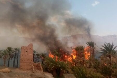 اندلاع حريق مهول بواحة بإقليم زاكورة