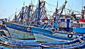 Photo of مجلس الحكومة يصادق على مشروع مرسوم يتعلق بأرباب قوارب الصيد التقليدي‎‎