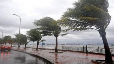 Photo of نشرة إنذارية: زخات رعدية قوية وهبات رياح مرتقبة الأحد بعدد من مناطق المملكة