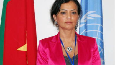 Photo of تعيين المغربية نجاة رشدي نائبة للمبعوث الأممي الخاص إلى سوريا
