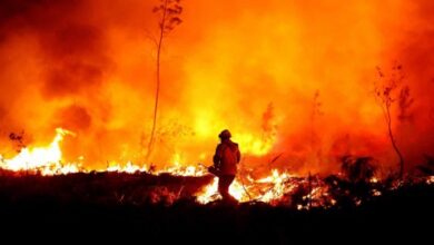 Photo of دول أوروبية عدة تهب لمساعدة فرنسا في مكافحة حرائق الغابات