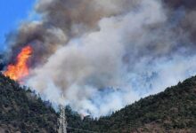 Photo of ايطاليا..أكثر من 30 ألف حريق غابوي بسبب ارتفاع درجات الحرارة والجفاف خلال شهر