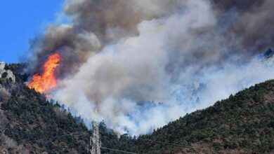 Photo of ايطاليا..أكثر من 30 ألف حريق غابوي بسبب ارتفاع درجات الحرارة والجفاف خلال شهر