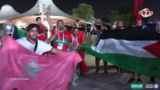 فلسطينيون يساندون أسود الأطلس وأجواء الرائعة بينهم وبين الجماهير المغربية بقطر