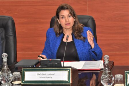 بنعلي تحدد موعد انطلاق المناظرات الجهوية للتنمية المستدامة