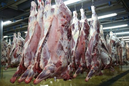 ضبط وحجز لحوم فاسدة موجهة للاستهلاك