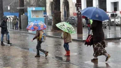 Photo of مقاييس الأمطار المسجلة بالمملكة خلال الـ 24 ساعة الماضية