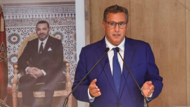 Photo of أخنوش يمثل الملك في مراسيم تنصيب الرئيس الجديد لنيجيريا‎‎
