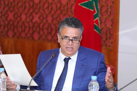 وهبي: العقوبات البديلة ليست “بدعة”