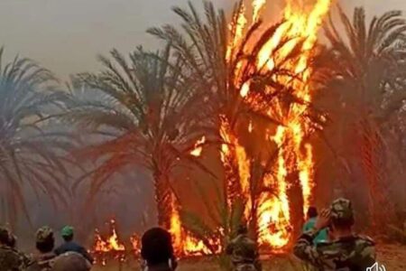 حريق مهول يأتي على واحة بإقليم طاطا