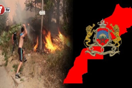وزارة الشؤون الخارجية: المملكة المغربية تتابع ببالغ الأسى والأسف حرائق الغابات بالجزائر