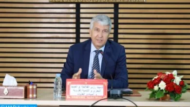 Photo of السيد صديقي يؤكد وضع برنامج لإعادة تأهيل النشاط الفلاحي عقب زلزال الحوز