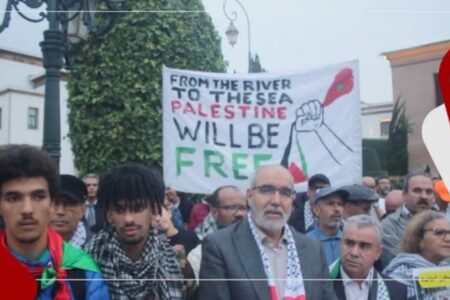 حناجر آلاف المتضامنين مع الشعب الفلسطيني تصدح أمام مقر البرلمان في وقفة الغضب الجماعي ضد محرقة غزة