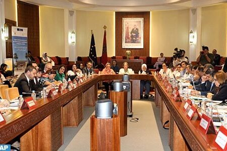 لقاء دراسي بمجلس النواب يرصد الإشكاليات المرتبطة بتنفيذ القانون المؤطر لمحاربة العنف ضد النساء