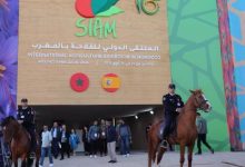 Photo of المعرض الدولي للفلاحة بالمغرب ( 2024 ) : أبرز أرقام الدورة الـ 16