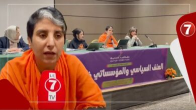 Photo of حنان رحاب : يجب أن يكون هناك آليات قانونية لحماية النساء من العنف السياسي والمؤسساتي