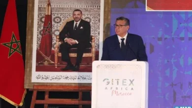Photo of استراتيجية “المغرب الرقمي 2030” ستخرج إلى حيز الوجود في غضون الأسابيع القليلة المقبلة (عزيز أخنوش)