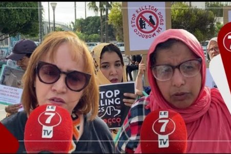 في وقفة سلمية … مواطنون يطالبون بوقف قتـ..ـل وإيذاء الحيوانات والتعامل معهم بوحشية