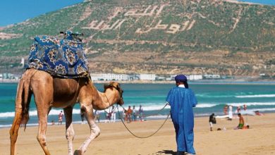 Photo of السياحة المغربية.. إطار تحفيزي وإشارات قوية للمستثمرين (وزارة)