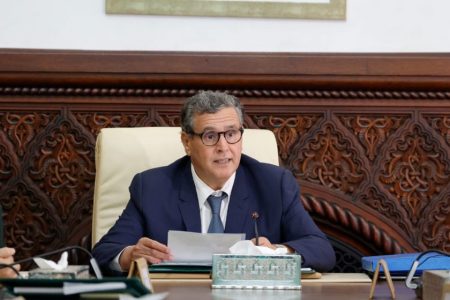عزيز أخنوش: العلاقة بين المغرب ومنظمة التعاون والتنمية الاقتصادية لطالما تميزت بالتعاون الدائم والمثمر