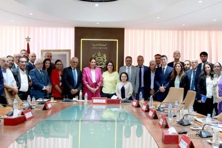 فاطمة الزهراء المنصوري تترأس جلسة عمل مع المكتب الجديد للمجلس الوطني لهيئة المهندسين المعماريين