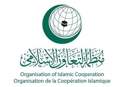 وزراء خارجية منظمة التعاون الإسلامي يشيدون بمبادرات جلالة الملك لتعزيز التعاون والتكامل بين الدول الإفريقية