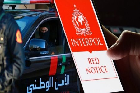 توقيف 66 شخصا في عملية لمكافحة الإرهاب نسقها “الإنتربول” في 14 دولة من بينها المغرب