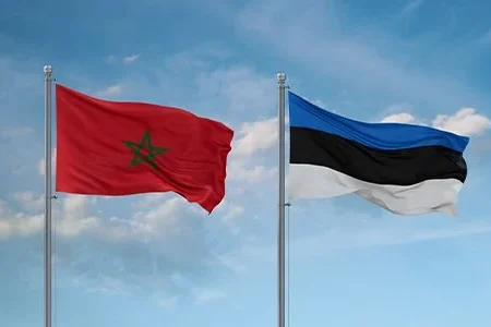 إستونيا تشيد بمبادرات جلالة الملك لفائدة النهوض بالسلم والاستقرار والتنمية بإفريقيا