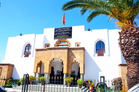 وزارة التعليم العالي والبحث العلمي والابتكار تعلن عن الإطلاق الرسمي للإستراتيجية الوطنية للموارد التعليمية المفتوحة والعلوم المفتوحة