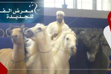 كأنك بقلب الحدث… أبرز لحظات معرض الفرس للجديدة