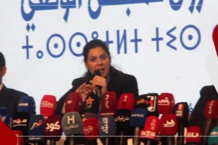 المنصوري المنسقة الوطنية لحزب البام : كفى من شيطنة الأحزاب راه مغدي توصلنا لحتا شي نتيجة