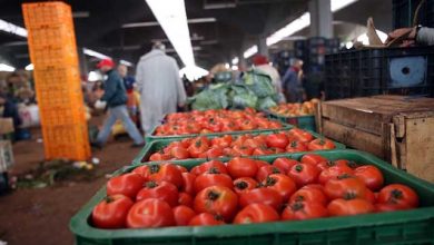 Photo of تقرير بريطاني حول الأمن الغذائي يسلط الضوء على العلاقات الفلاحية مع المغرب