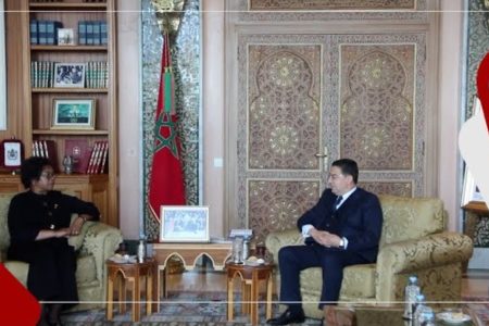 “ناصر بوريطة” يتباحث مع وزيرة خارجية المالاوي “نانسي تيمبو”