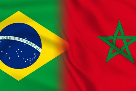 التعاون الزراعي بين البرازيل والمغرب: شراكة واعدة لتعزيز الأمن الغذائي