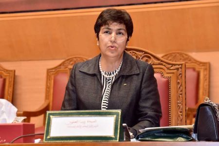 العدوي: محاربة الفساد المالي مسؤولية وطنية لتحقيق تنمية شاملة