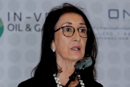  بنخضرة تؤكد على رؤية صاحب الجلالة الملك محمد السادس ورئيس نيجيريا في بلوغ مشروع خط أنبوب الغاز الإفريقي مرحلة حاسمة على مستوى الاستثمار