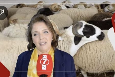 رئيسة منظمة النساء الحركيات ” خديجة الكور ” تثمن القرار الملكي بإلغاء أضحية العيد