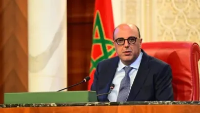 Photo of محمد ولد الرشيد: التعاون جنوب-جنوب خيار استراتيجي يقوده الملك ويعزز حضور المغرب إقليميا ودوليا