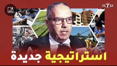 Photo of الكاتب العام لقطاع الشباب: سيتم احداث دور حضانة جديدة لتيسير ولوج المرأة إلى سوق الشغل
