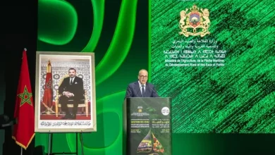 Photo of فلاحة.. نحو بلورة برنامج طموح للسقي (أحمد البواري)